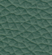 Green Pa 51