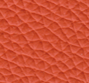 Red Orange Pa 53
