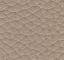 Taupe Panama pa 32