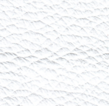 White Panama Pa 05