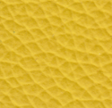 Yellow Panama Pa 43