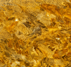 Golden Yellow