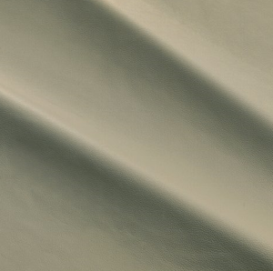 Color 50106 Grigio