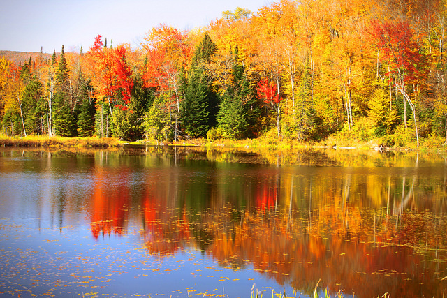 fs-fall-colors-blog-092118.jpg#asset:5582 fs-fall-colors-blog-092118.jpg#asset:5582